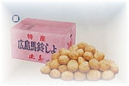 ���|�Á@�ԍꂶ�Ⴊ����10Kg�@L�`LL�T�C�Y����